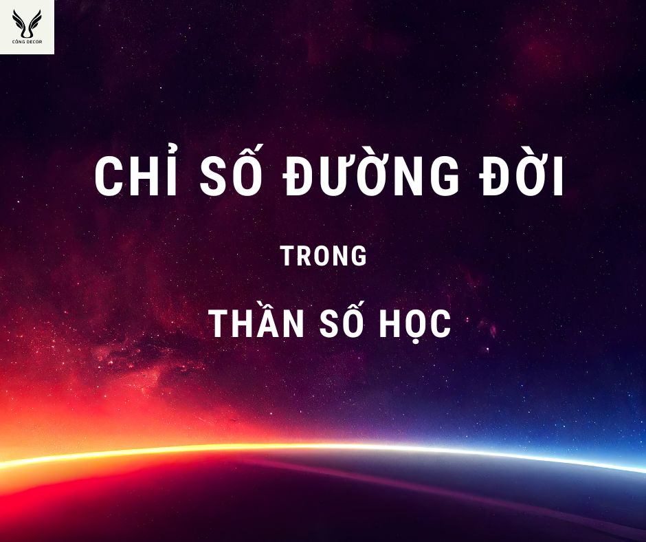 Chỉ số đường đời là chỉ số quan trọng nhất trong Thần số học