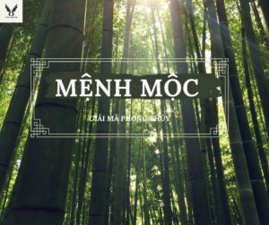 Mệnh Mộc là gì?