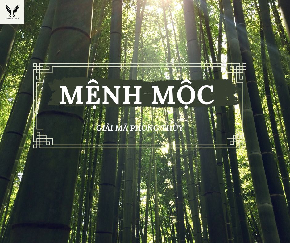 Mệnh Mộc là gì?