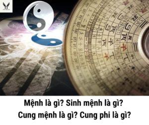 Mệnh là gì? Sinh mệnh là gì? Cung mệnh là gì? Cung phi là gì?