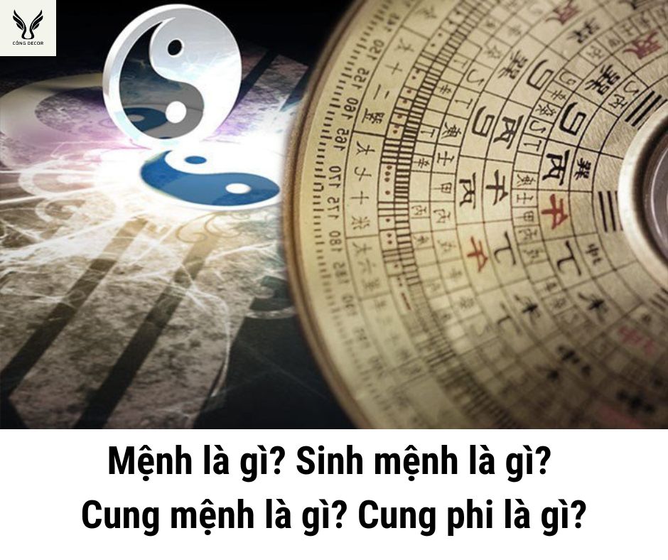 Mệnh là gì? Sinh mệnh là gì? Cung mệnh là gì? Cung phi là gì?