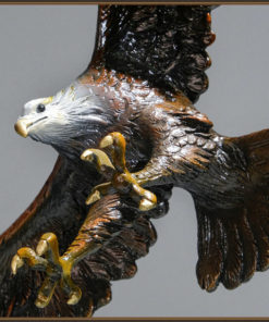 Đại bàng săn mồi giữa biển khơi