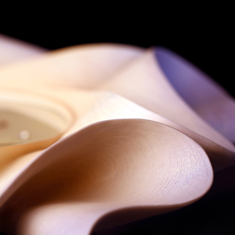 Đồng hồ treo tường bông hoa CD1802