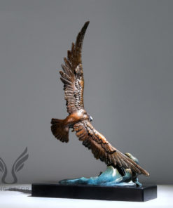 Đại bàng săn mồi giữa biển khơi