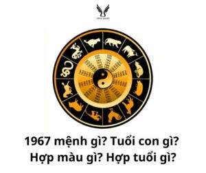 1967 mệnh gì? Tuổi con gì? Hợp màu gì? Hợp tuổi gì?