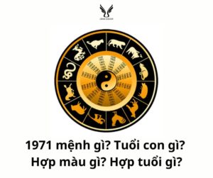 1971 mệnh gì?Tuổi con gì? Hợp màu gì? Hợp tuổi gì?