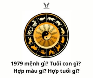 1979 mệnh gì? Tuổi con gì? Hợp màu gì? Hợp tuổi gì?