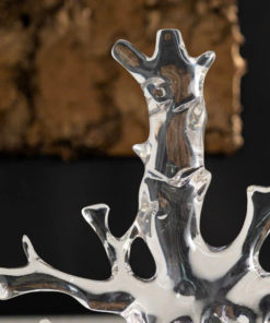 Mô Hình Nhánh San Hô Trong Suốt