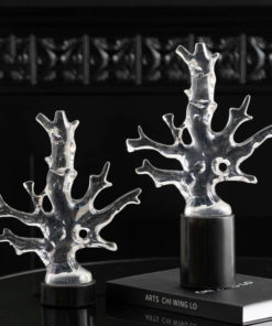 Mô Hình Nhánh San Hô Trong Suốt