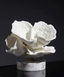 Mô Hình San Hô Trang Trí Cao Cấp