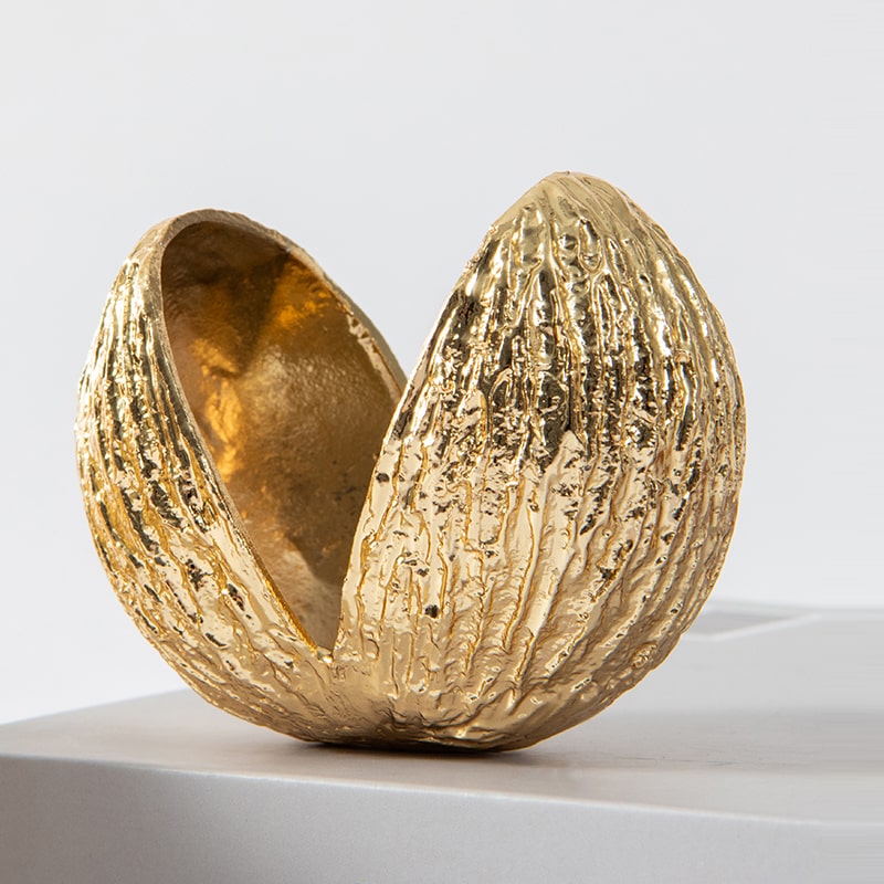 Mô Hình Vỏ Hạt Trang Trí Hiện Đại