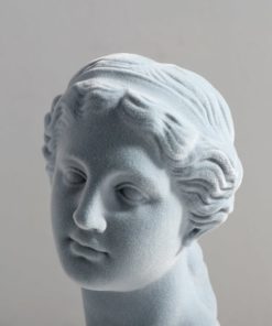 Tượng Bán Thân Triết Gia Cổ Điển