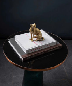 Tượng Báo Vàng Căng Mình Đầy Năng Lượng