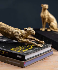 Tượng Báo Vàng Căng Mình Đầy Năng Lượng