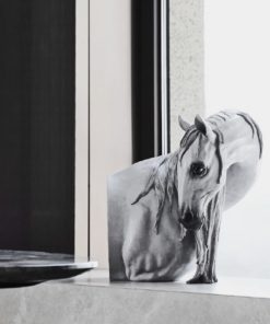 Tượng Đầu Ngựa Tĩnh Lặng